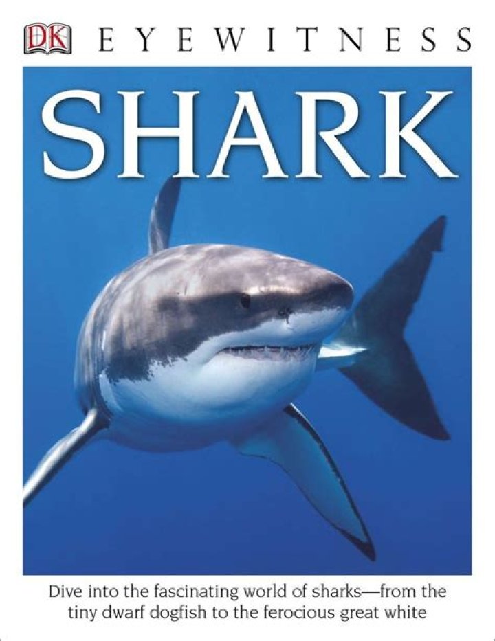 Exploring The Fascinating World Of Sharks: Hi Sharks!
